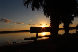 Vacation in Martin County - Florida